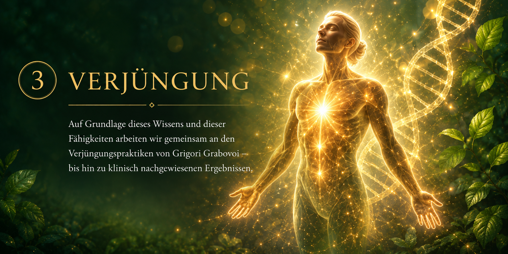Verjüngung